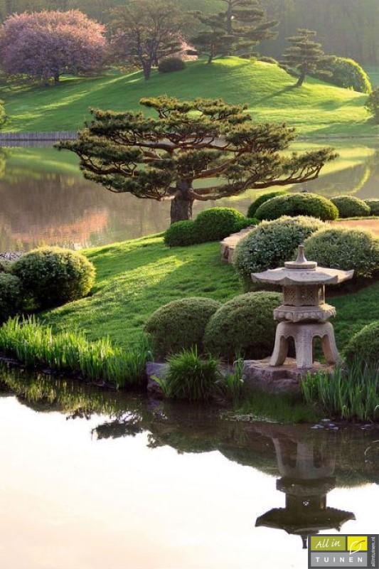 japanse tuin